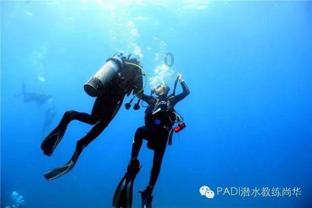 哈哈体育官方入口